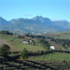 KapVino Estate